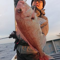だて丸 釣果