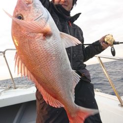 だて丸 釣果