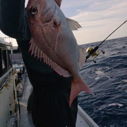 だて丸 釣果