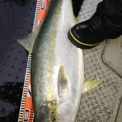 第二龍勢丸 釣果