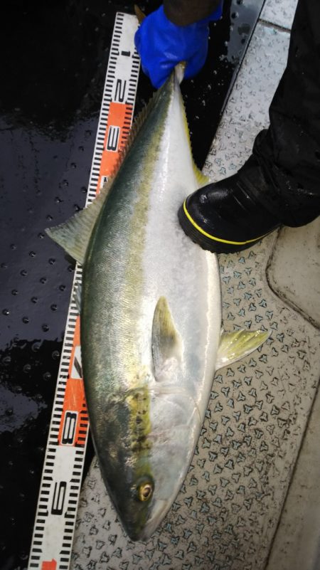 第二龍勢丸 釣果