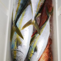 第二龍勢丸 釣果