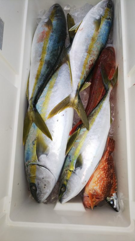 第二龍勢丸 釣果