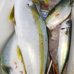 第二龍勢丸 釣果