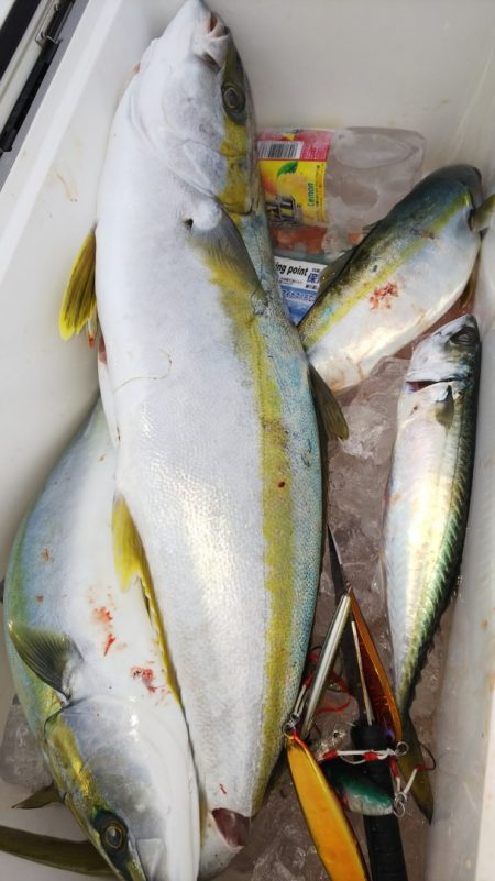 第二龍勢丸 釣果