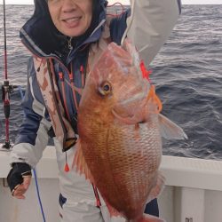 ARCADIAⅡ (アルカディアⅡ) 釣果