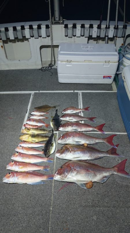 ARCADIAⅡ (アルカディアⅡ) 釣果