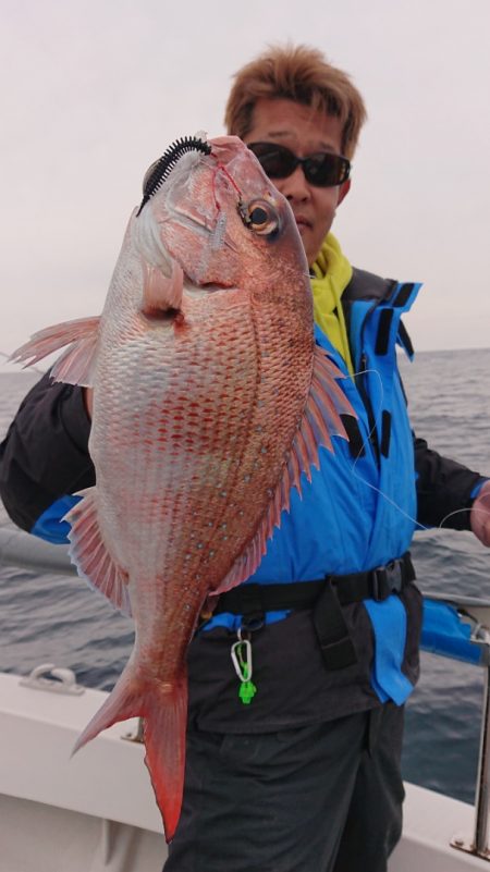 ARCADIAⅡ (アルカディアⅡ) 釣果