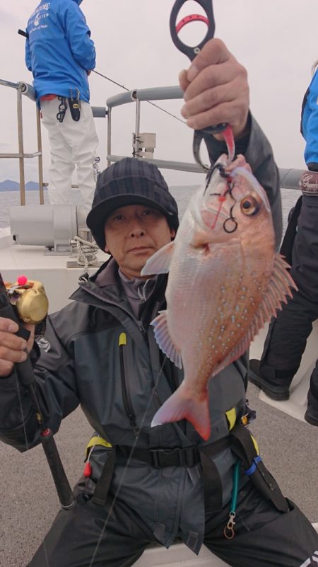 ARCADIAⅡ (アルカディアⅡ) 釣果