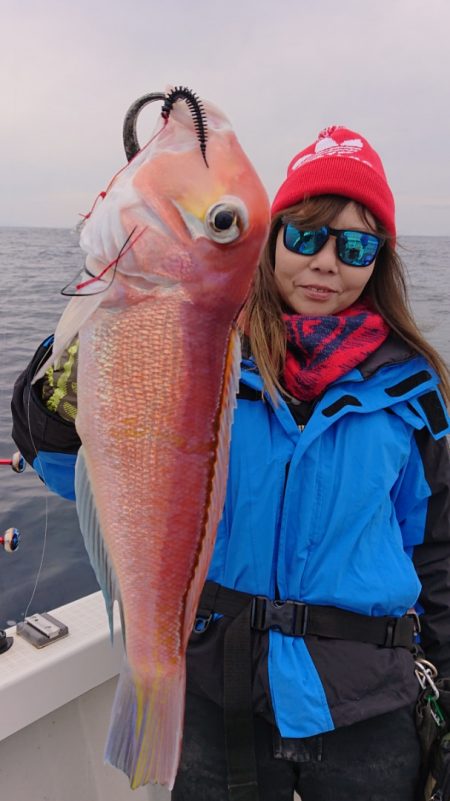 ARCADIAⅡ (アルカディアⅡ) 釣果