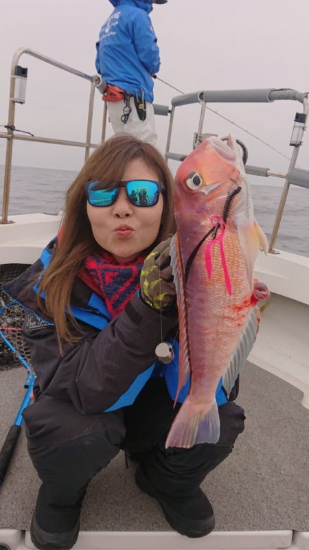 ARCADIAⅡ (アルカディアⅡ) 釣果