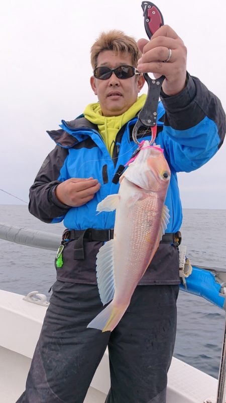 ARCADIAⅡ (アルカディアⅡ) 釣果