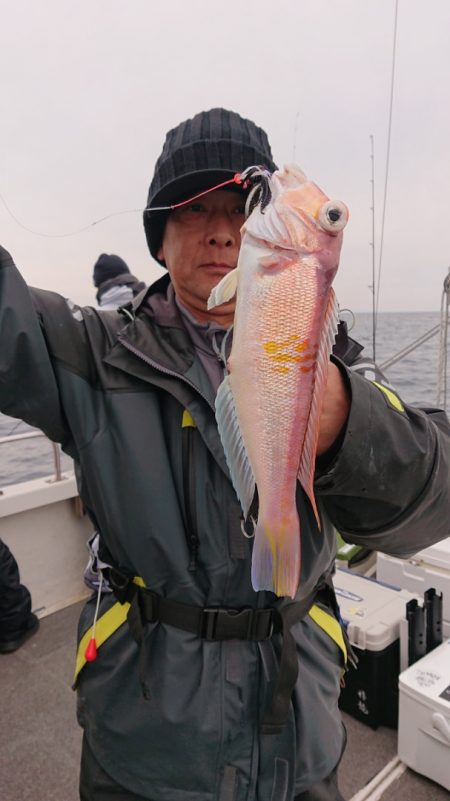 ARCADIAⅡ (アルカディアⅡ) 釣果