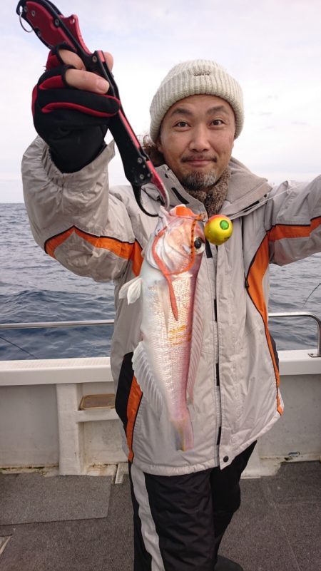 ARCADIAⅡ (アルカディアⅡ) 釣果