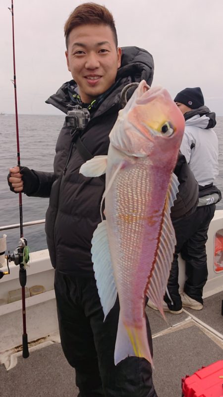 ARCADIAⅡ (アルカディアⅡ) 釣果