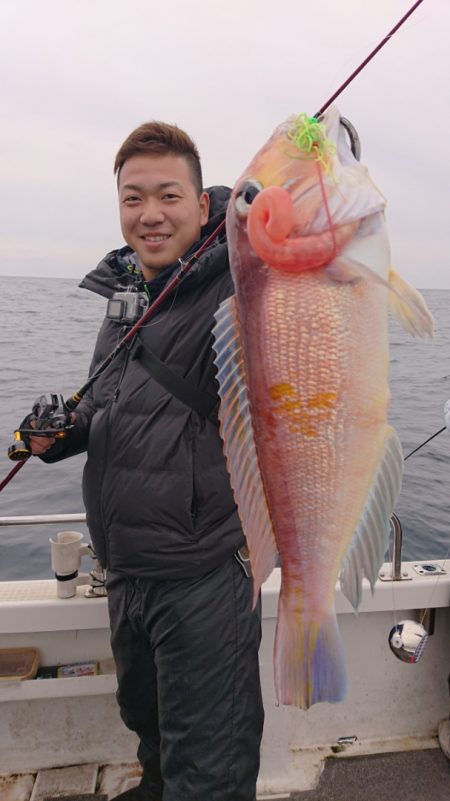 ARCADIAⅡ (アルカディアⅡ) 釣果