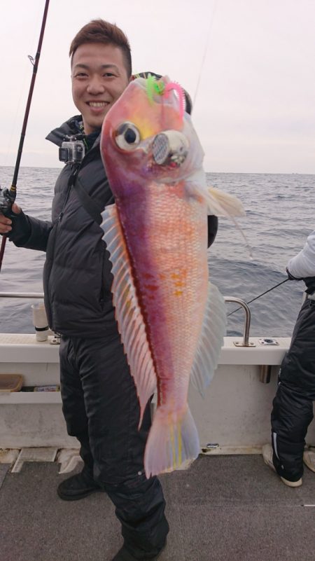 ARCADIAⅡ (アルカディアⅡ) 釣果