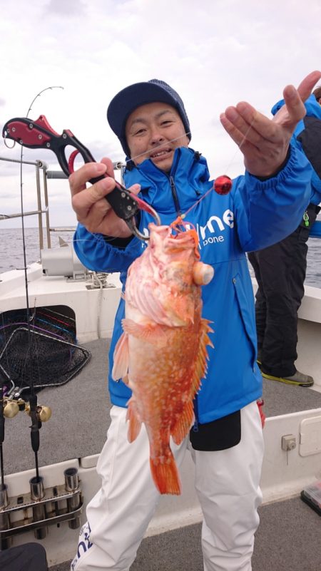 ARCADIAⅡ (アルカディアⅡ) 釣果