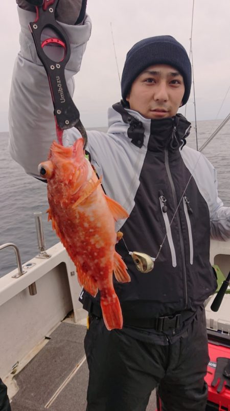 ARCADIAⅡ (アルカディアⅡ) 釣果