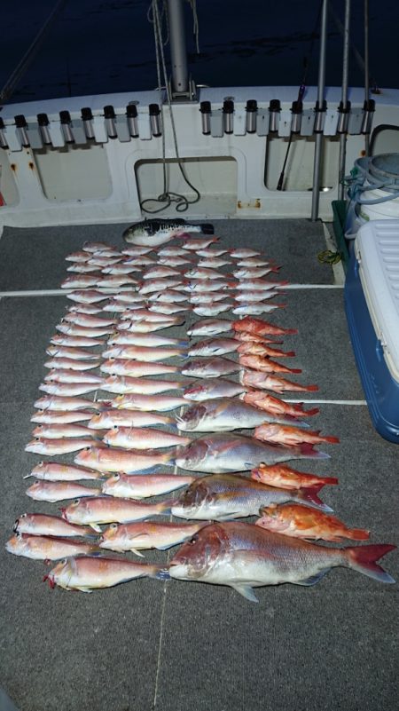 ARCADIAⅡ （アルカディアⅡ） 釣果…