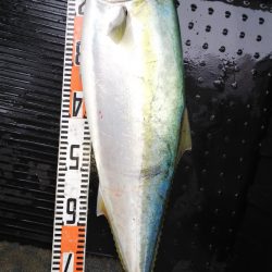 第二龍勢丸 釣果