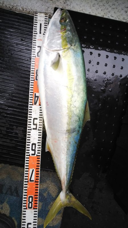 第二龍勢丸 釣果