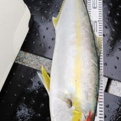 第二龍勢丸 釣果