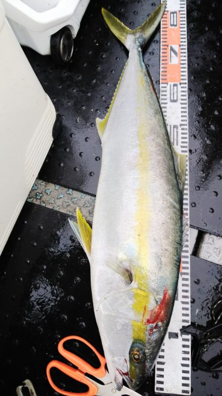 第二龍勢丸 釣果