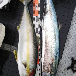 第二龍勢丸 釣果