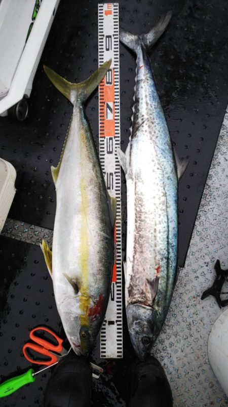 第二龍勢丸 釣果