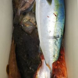 第二龍勢丸 釣果