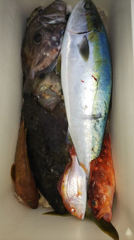 第二龍勢丸 釣果