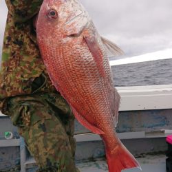 だて丸 釣果