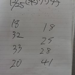 金沢八景鴨下丸 釣果