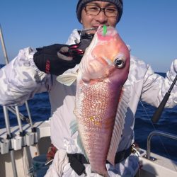 ARCADIAⅡ (アルカディアⅡ) 釣果