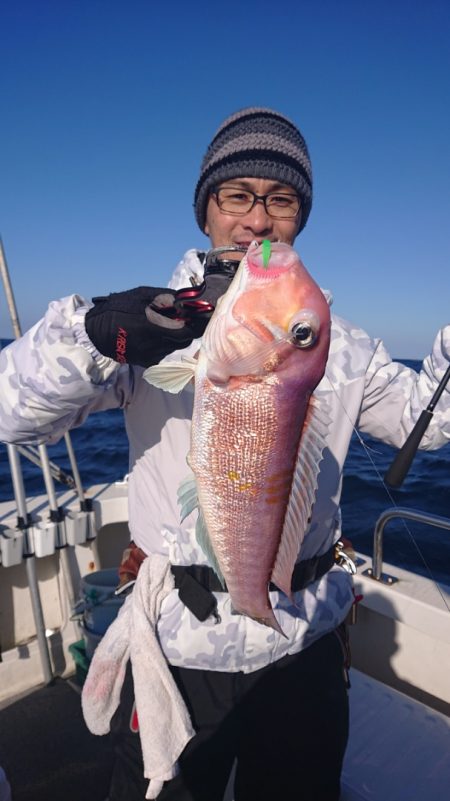 ARCADIAⅡ (アルカディアⅡ) 釣果