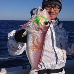 ARCADIAⅡ (アルカディアⅡ) 釣果