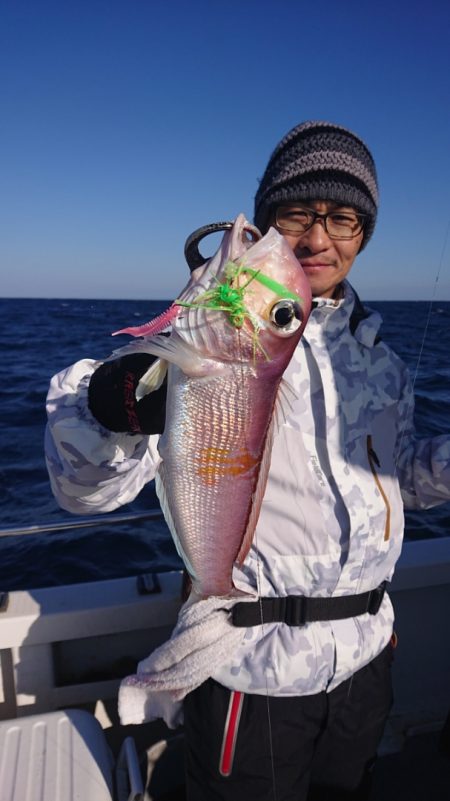 ARCADIAⅡ (アルカディアⅡ) 釣果