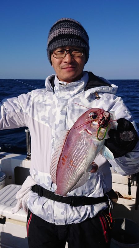 ARCADIAⅡ (アルカディアⅡ) 釣果