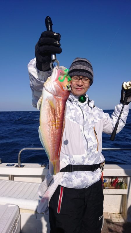 ARCADIAⅡ (アルカディアⅡ) 釣果