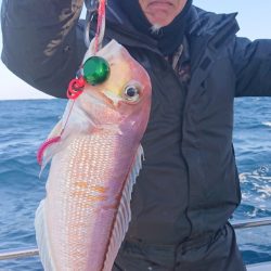 ARCADIAⅡ (アルカディアⅡ) 釣果