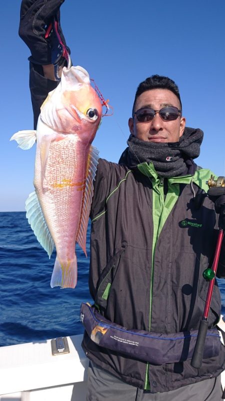 ARCADIAⅡ (アルカディアⅡ) 釣果