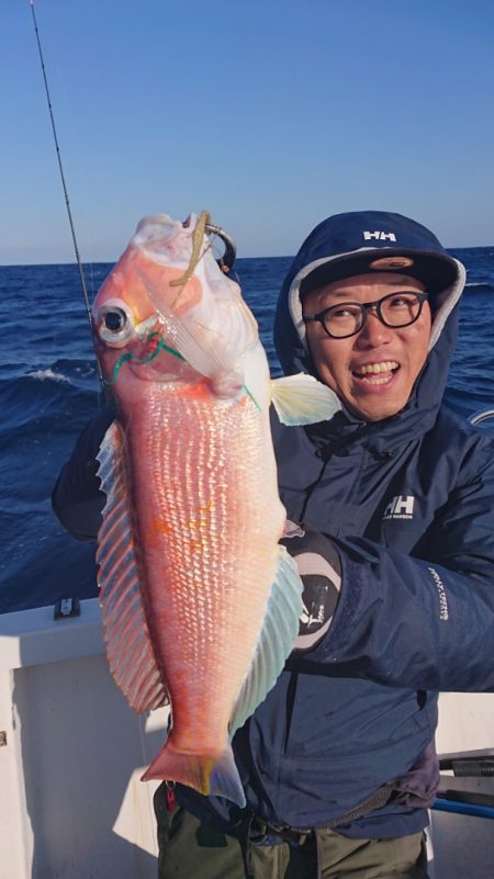 ARCADIAⅡ (アルカディアⅡ) 釣果