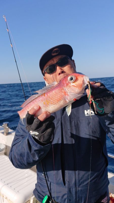 ARCADIAⅡ (アルカディアⅡ) 釣果