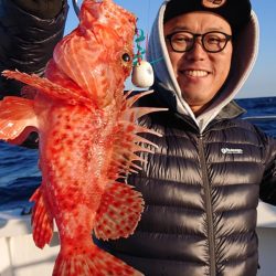 ARCADIAⅡ (アルカディアⅡ) 釣果