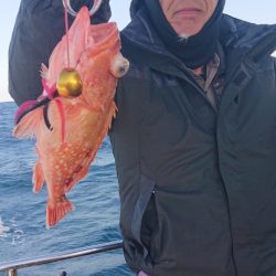 ARCADIAⅡ (アルカディアⅡ) 釣果