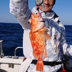 ARCADIAⅡ (アルカディアⅡ) 釣果