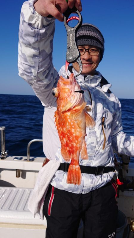 ARCADIAⅡ (アルカディアⅡ) 釣果