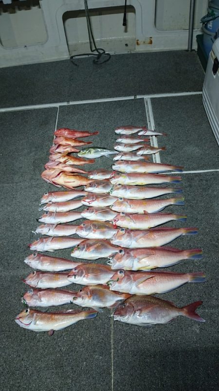 ARCADIAⅡ (アルカディアⅡ) 釣果