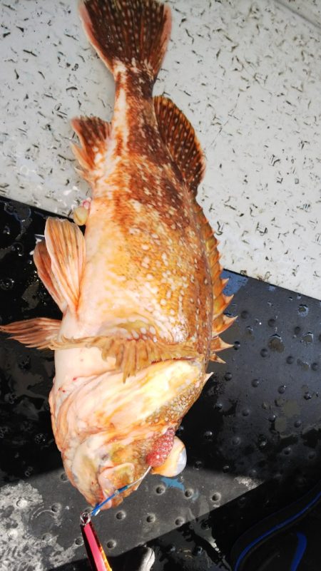 第二龍勢丸 釣果